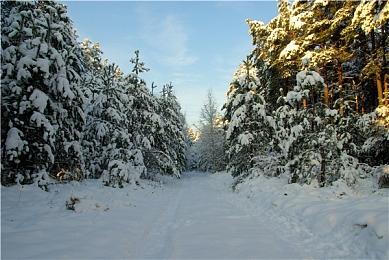 本地多人竞技乱斗游戏《DASTARDLY》 上线Steam